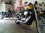 2004 Harley Sportster Blue Hen Charity bike, Awesome, 350 miles!