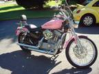 2004 Harley-Davidson 1200 sportster