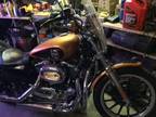 2008 Harley Davidson XL1200 Sporster XL1200L Low 105th Anniversary in Owasso, OK