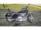 2005 Harley Davidson Sportster XL1200C - 4250 Miles - Tons of Chrome