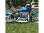 2007 Harley Davidson XL1200 Harley Davidson Sportster Custom in Clermont, FL