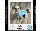 Adopt Ms. Missy 040624 a Yorkshire Terrier, Shih Tzu