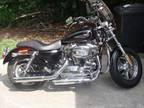 2011 Harley Davidson XL1200C.. 1200 Custom- only 748 miles