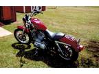 2006 Harley Davidson Sportster