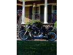 2005 Harley Davidson FLSTNI Softail Custom Deluxe in Raleigh, NC