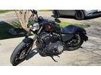 2014 Harley Davidson Sportster Iron 883 in Lakeway, TX