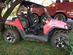 2007 Rzr