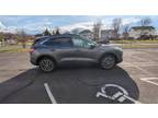 2022 Ford Escape Hybrid Gray, 25K miles