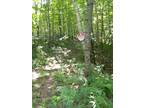 Plot For Sale In Newport, Maine