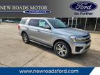 2024 Ford Expedition Silver