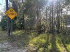 Plot For Sale In Lake Helen, Florida