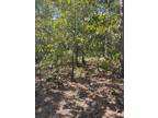 Plot For Sale In Broken Bow, Oklahoma