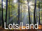 Plot For Sale In Spotsylvania, Virginia