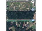 Plot For Sale In New Caney, Texas