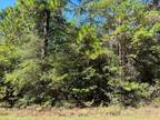 Plot For Sale In Brookeland, Texas