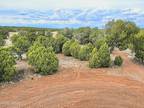 Plot For Sale In Show Low, Arizona