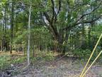 Plot For Sale In Hollywood, South Carolina