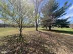 Plot For Sale In Spring City, Tennessee