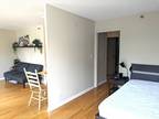 Condo For Rent In Chicago, Illinois