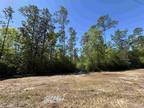 Plot For Sale In Jay, Florida