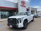 2022 Toyota Tundra Platinum