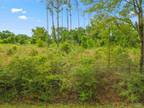 Plot For Sale In Jay, Florida