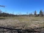 Plot For Sale In Oceola Township, Michigan