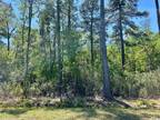 Plot For Sale In Marion, South Carolina