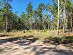 Plot For Sale In Florahome, Florida
