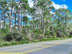 Plot For Sale In Windermere, Florida