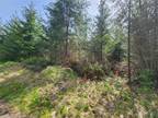 Plot For Sale In Mccleary, Washington