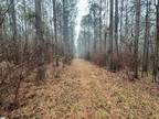 Plot For Sale In Gray Court, South Carolina