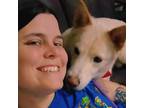 Trustworthy and Reliable Pet Sitter in El Paso, Texas - Affordable Rates!