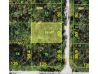 Plot For Sale In Port Charlotte, Florida