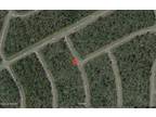 Plot For Sale In Chipley, Florida