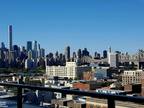 Condo For Rent In Queens, New York