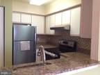 Flat For Rent In Towson, Maryland