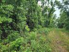 Plot For Sale In Madison, Florida