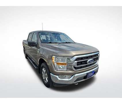 2021 Ford F-150 XLT is a Grey 2021 Ford F-150 XLT Car for Sale in Plymouth WI