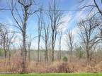 Plot For Sale In West Charlton, New York