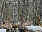 Plot For Sale In Dalton, New Hampshire