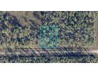 Plot For Sale In Lehigh Acres, Florida