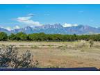 Mesilla, Dona Ana County, NM Undeveloped Land for sale Property ID: 418805353
