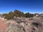 Plot For Sale In Snowflake, Arizona