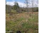 Plot For Sale In Deer Lodge, Tennessee