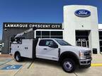 2023 Ford F-450 White, 13 miles