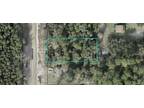 Plot For Sale In Bunnell, Florida