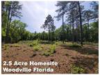 Plot For Sale In Woodville, Florida