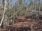 Plot For Sale In Cosby, Tennessee