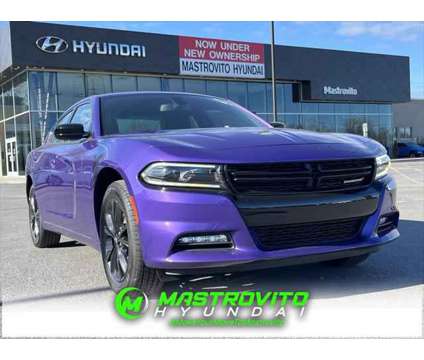 2023 Dodge Charger SXT AWD is a Purple 2023 Dodge Charger SXT Sedan in Utica NY